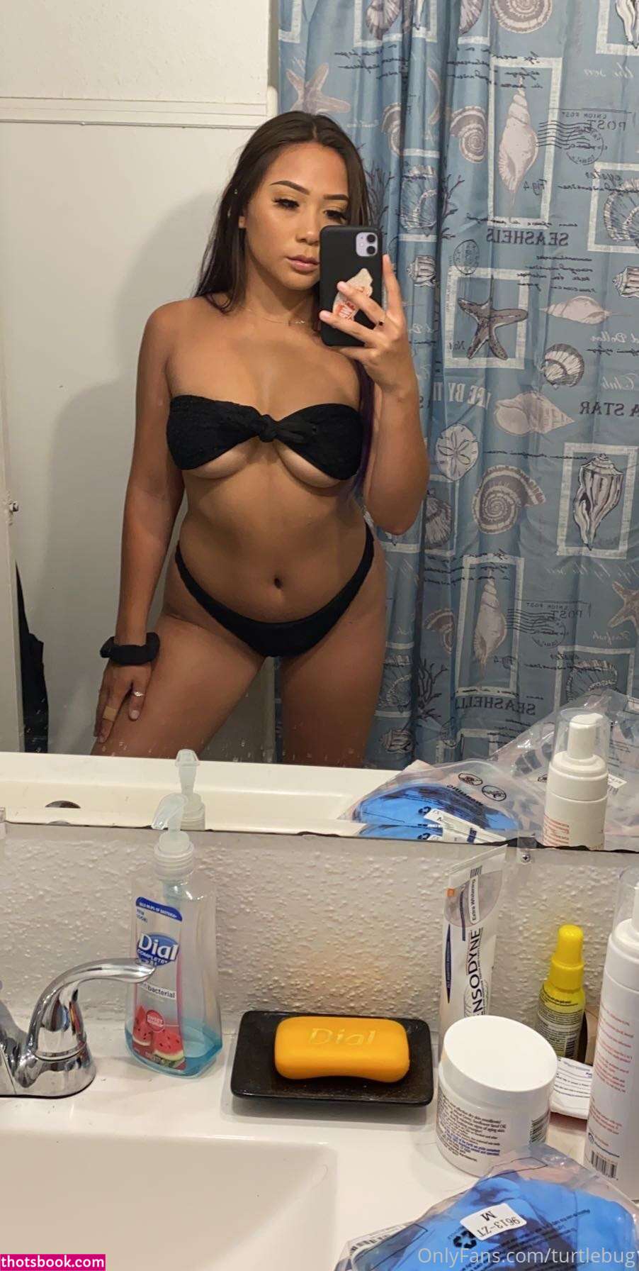 Turtlebug Photo #103