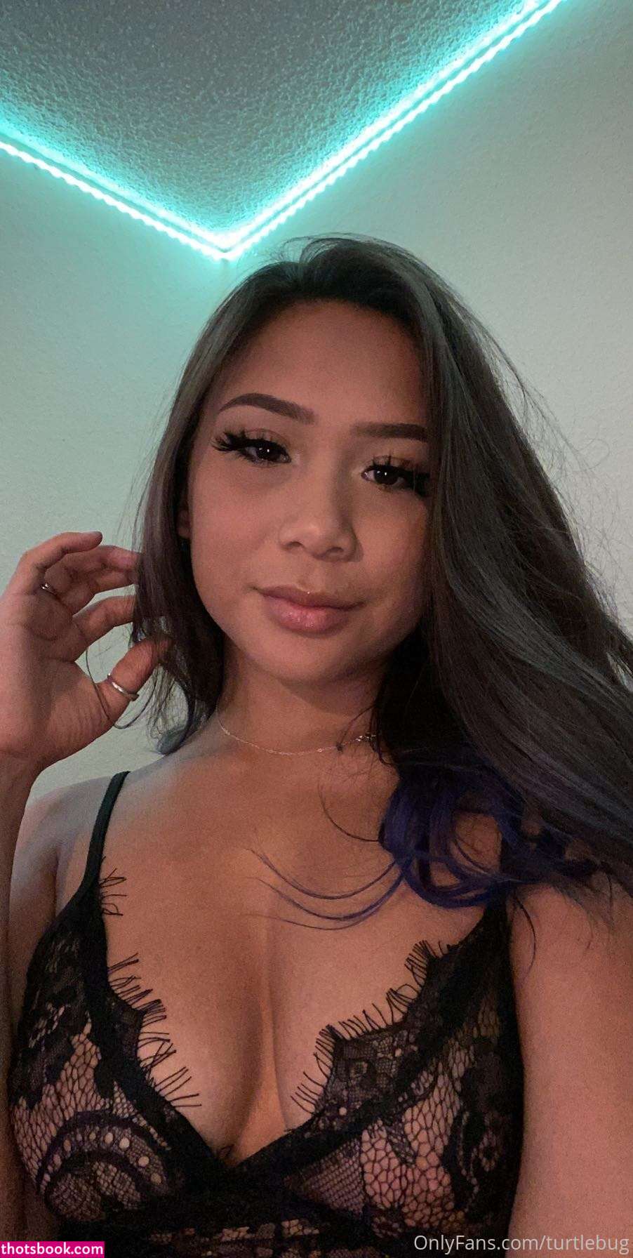 Turtlebug Photo #122