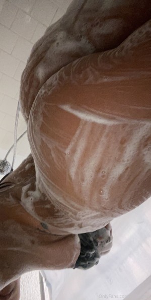 Turtlebug Photo #138