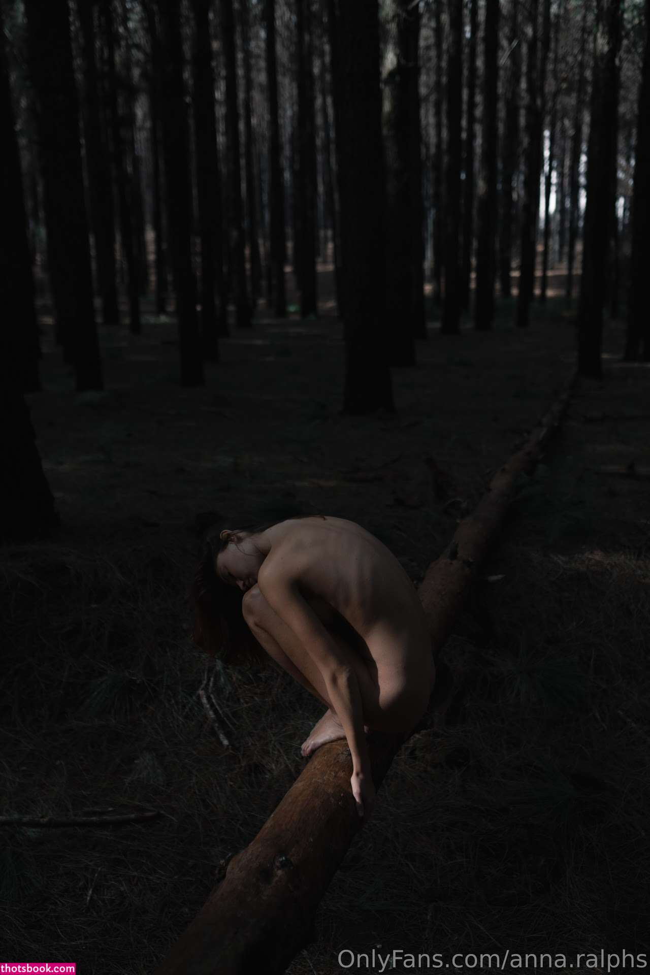 Deanralphs Photo #313