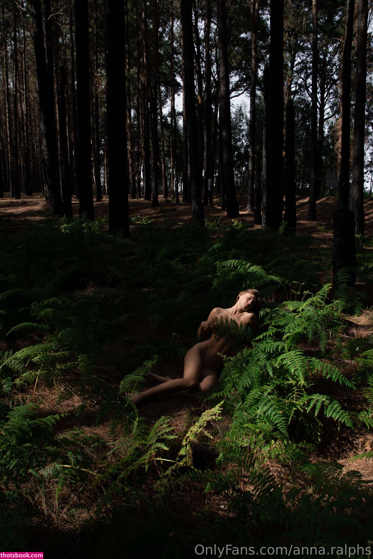 Deanralphs Photo #315