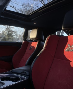 Justine Schiavone Photo #155