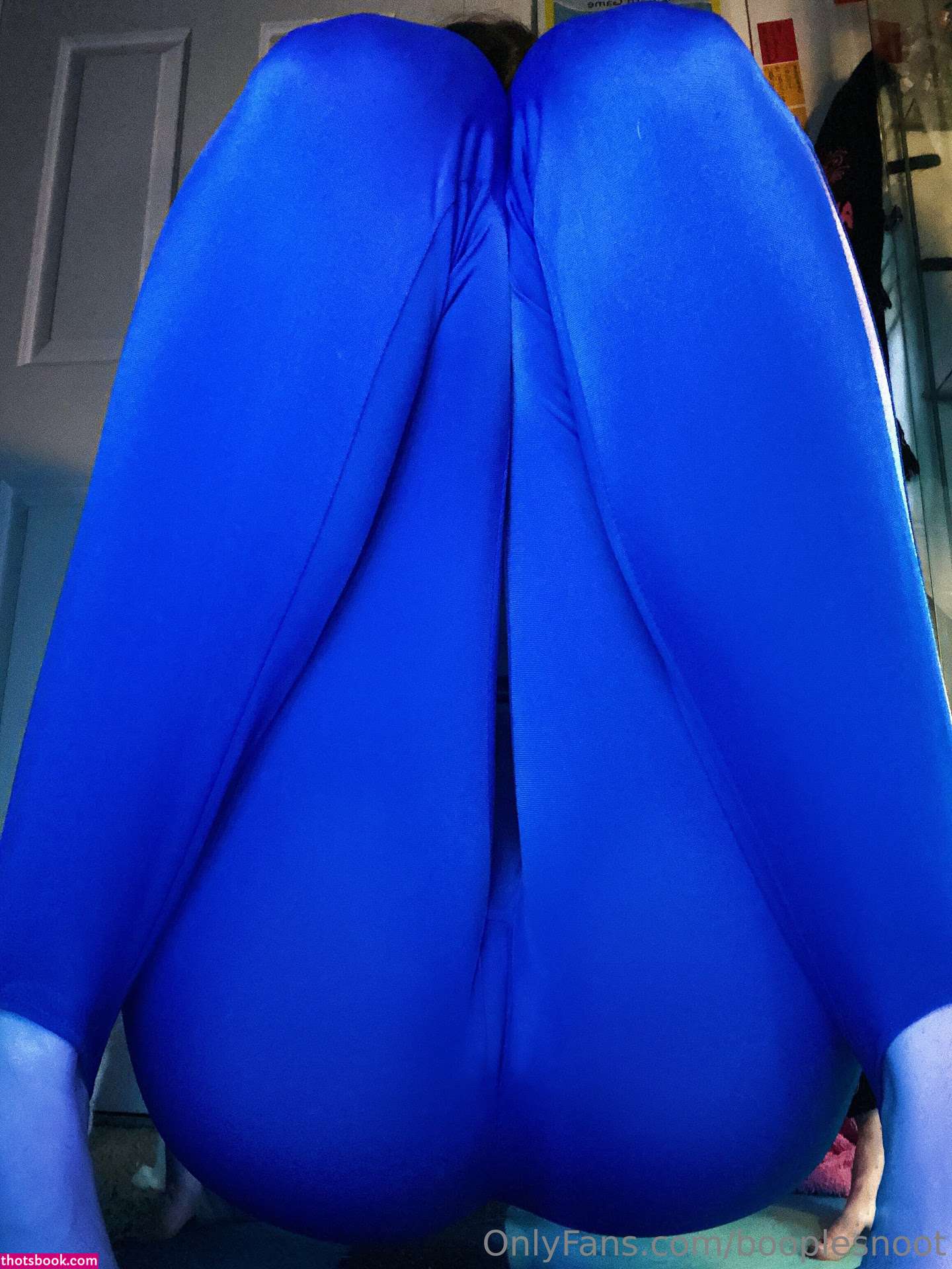 Booplesnoot Photo #86