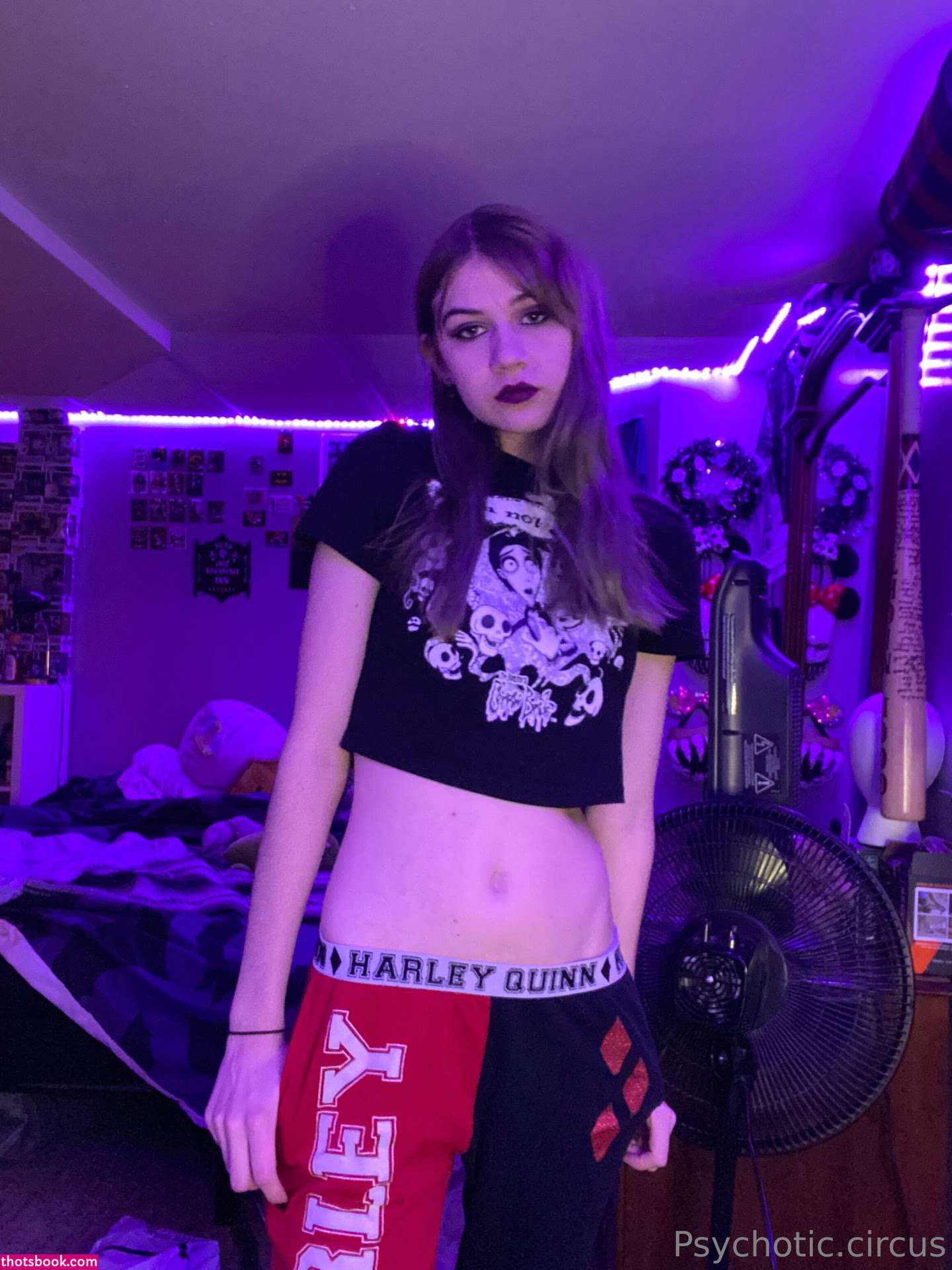 Creator Photo #771302