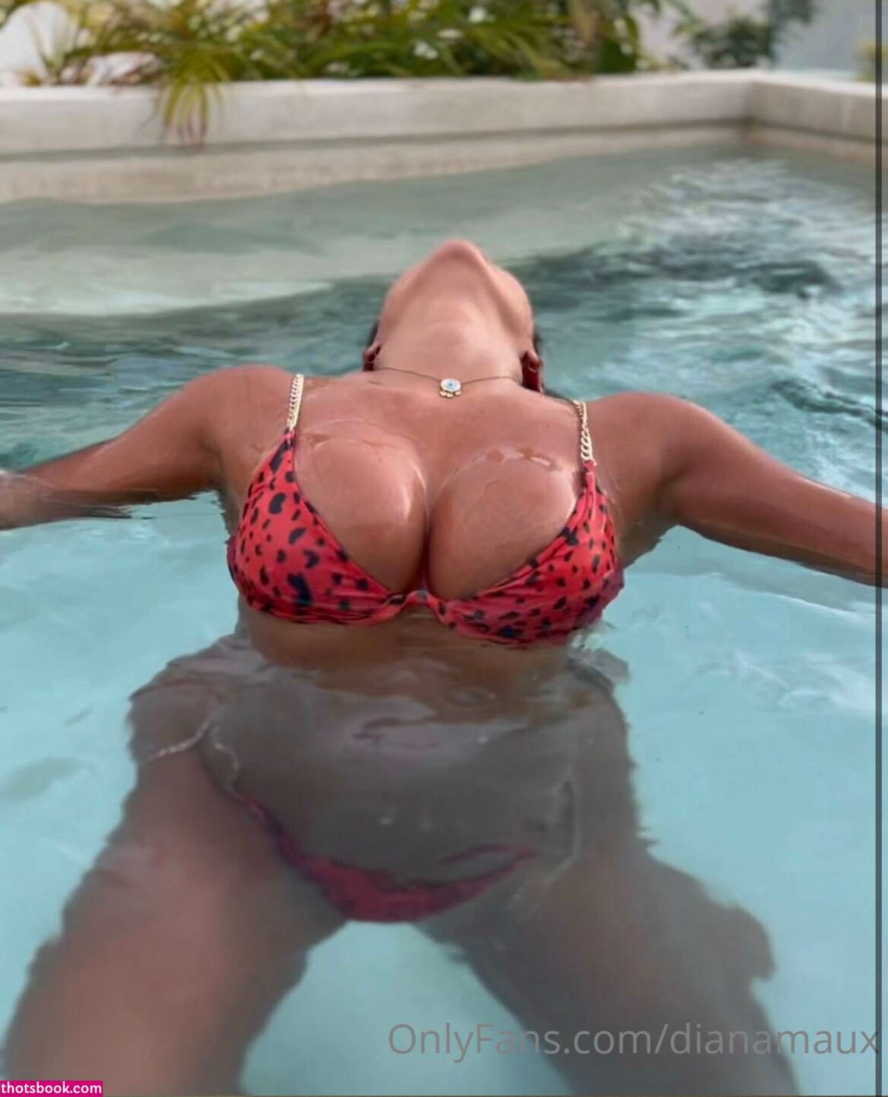 Diana Maux Photo #82