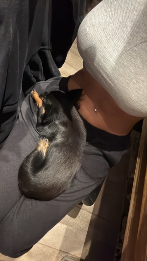 Elisa Pellegrino Photo #15