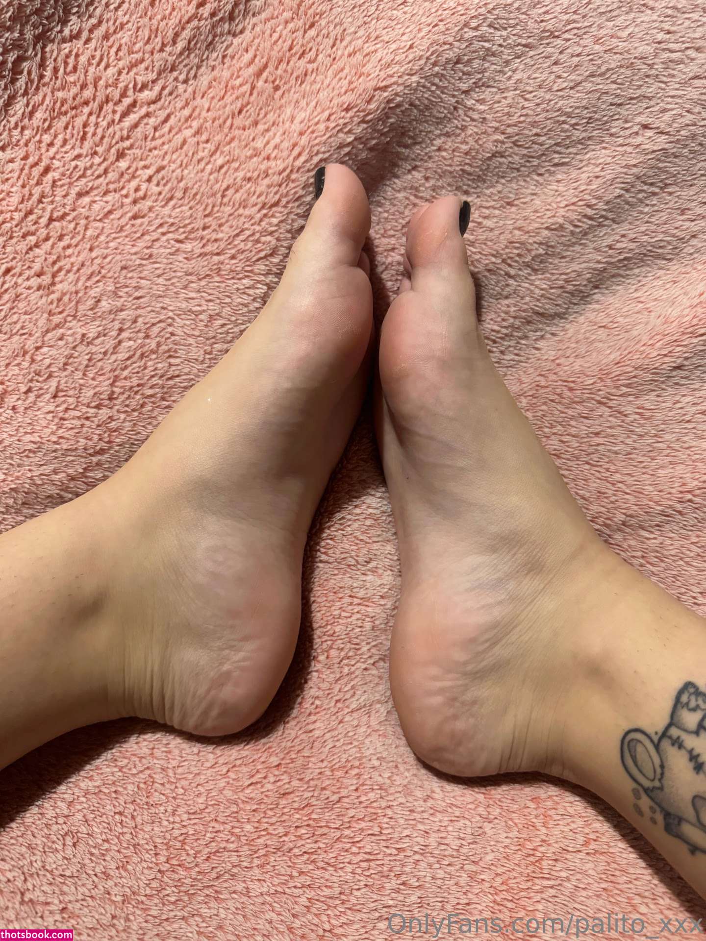 Palo Salvatore Photo #74