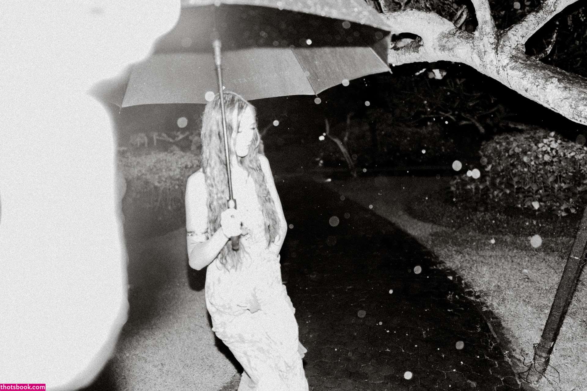 Havanna Winter Photo #5