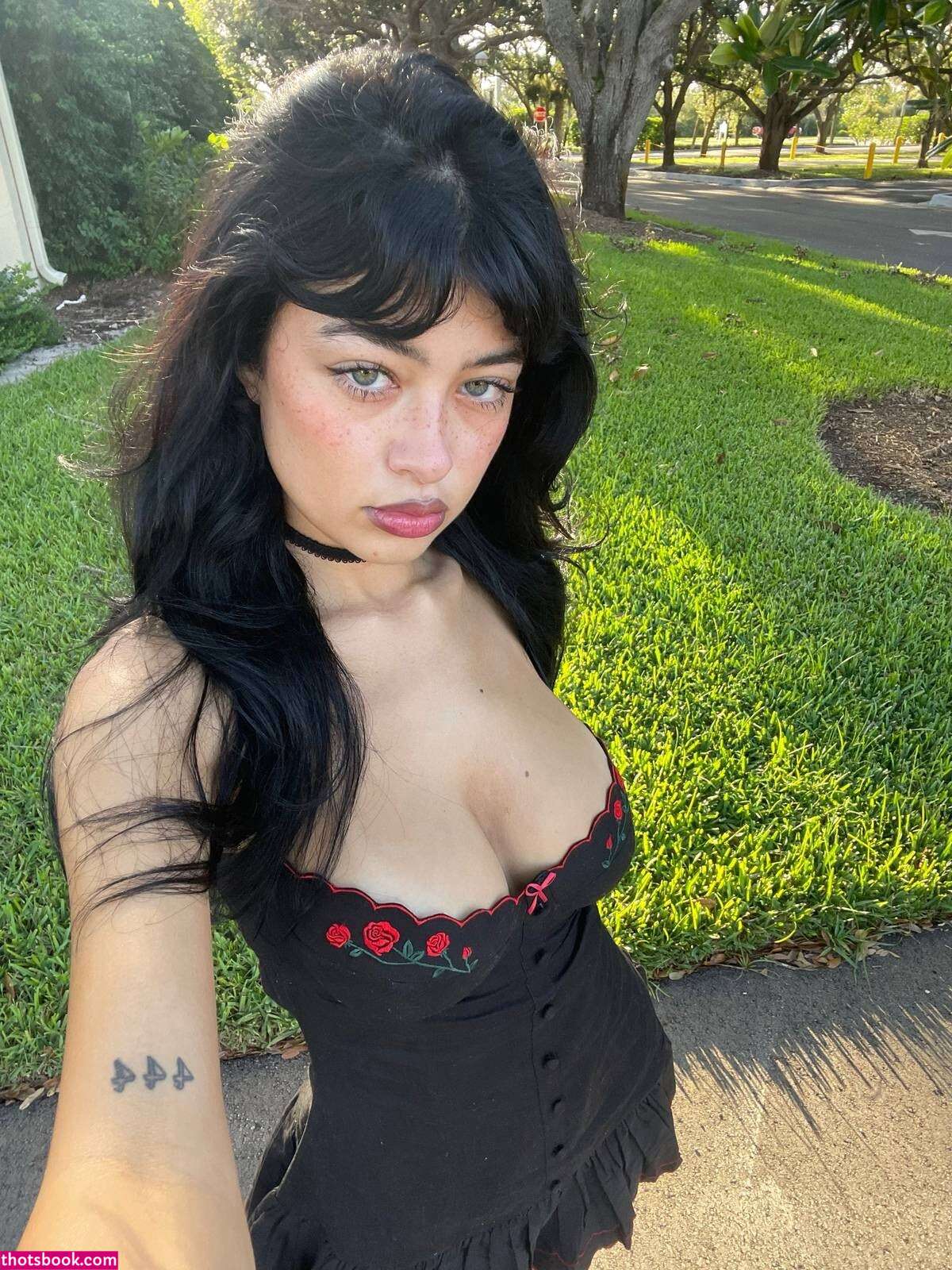 Ash Dalonzo Photo #35