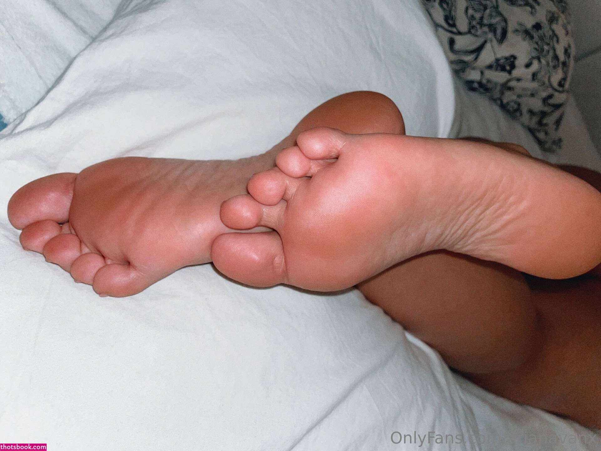 Arianavanx Photo #71