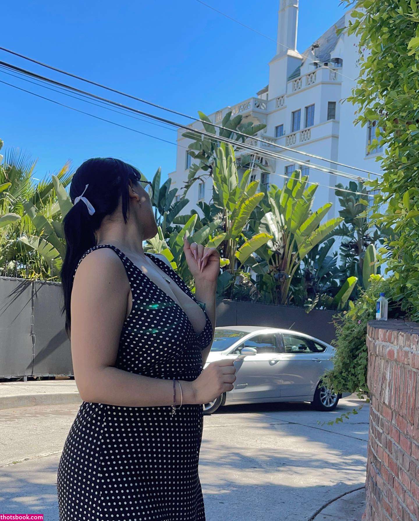 Saint Miau Photo #42