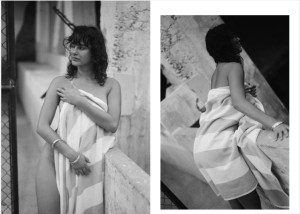 Sierra Brave Photo #14