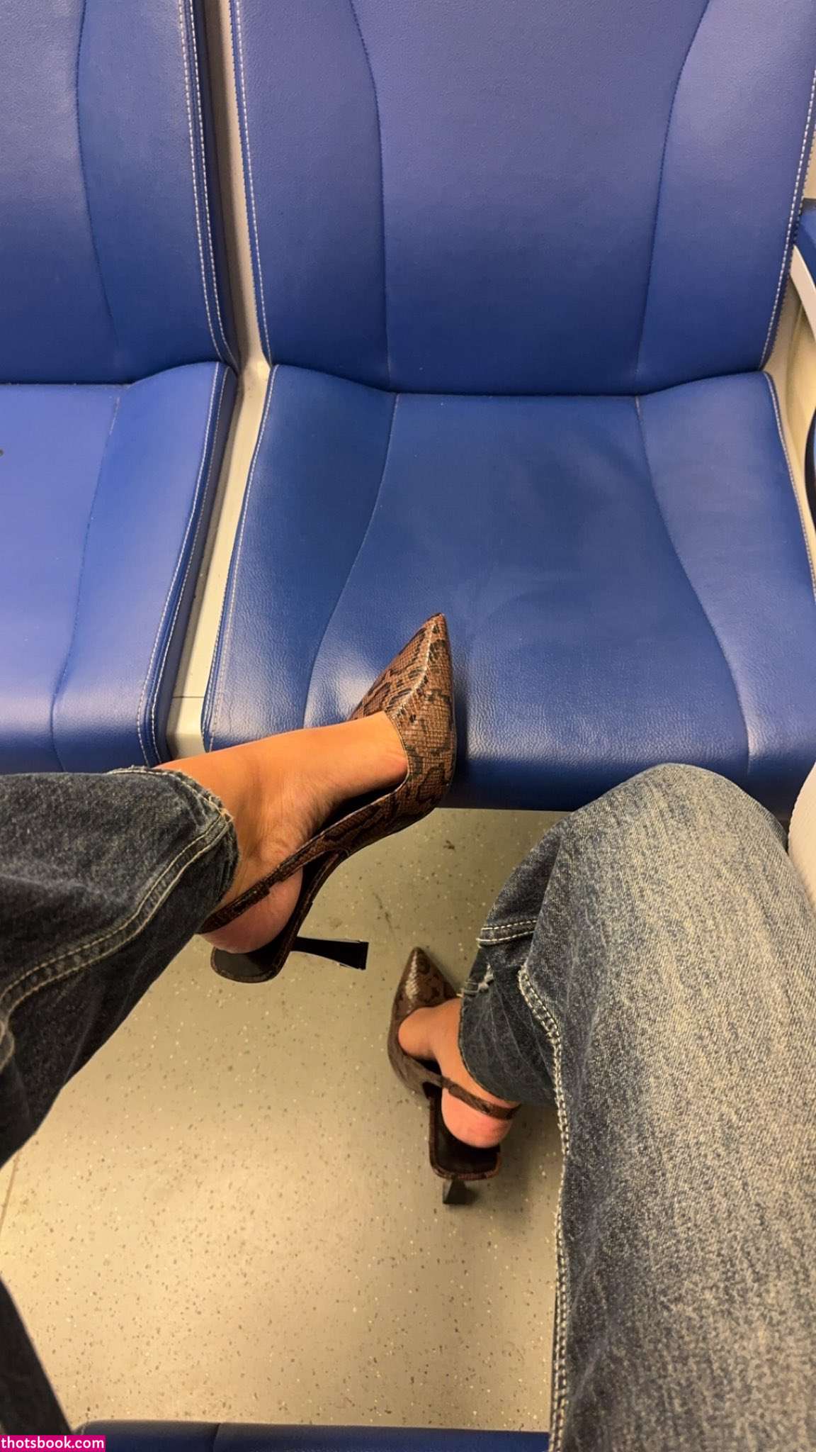 Randi Hartman Photo #5