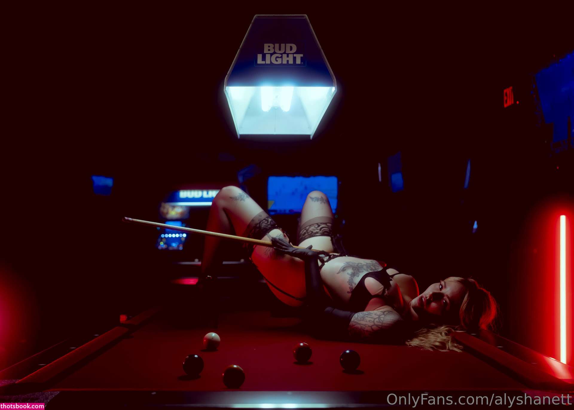 Alysha Nett Photo #536