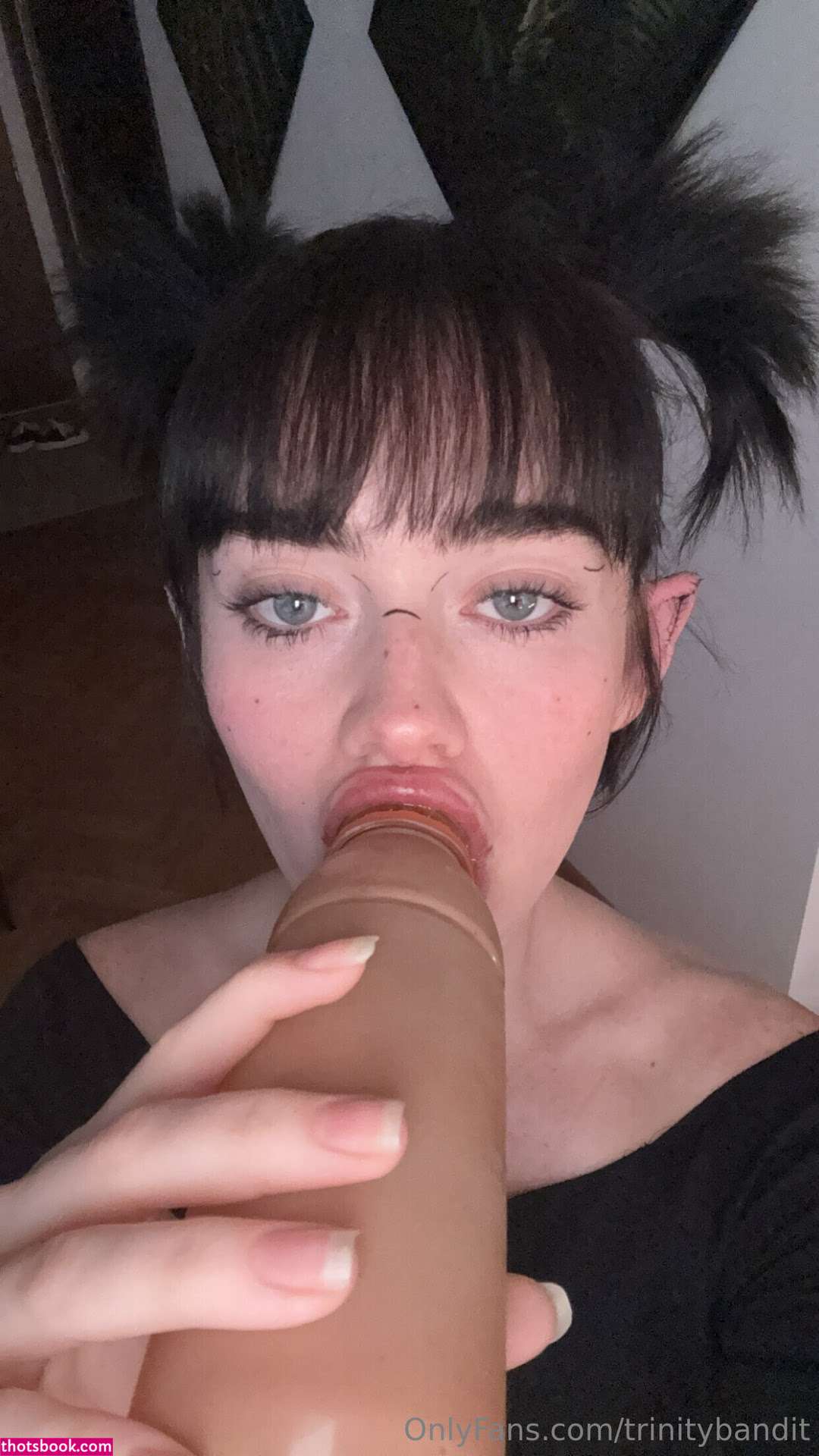 Trinity Bandit Photo #322