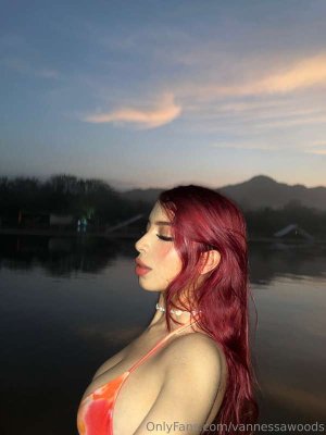 vannessawoods Photo #18