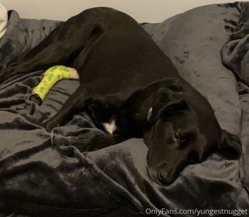 Yungestnugget Photo #85