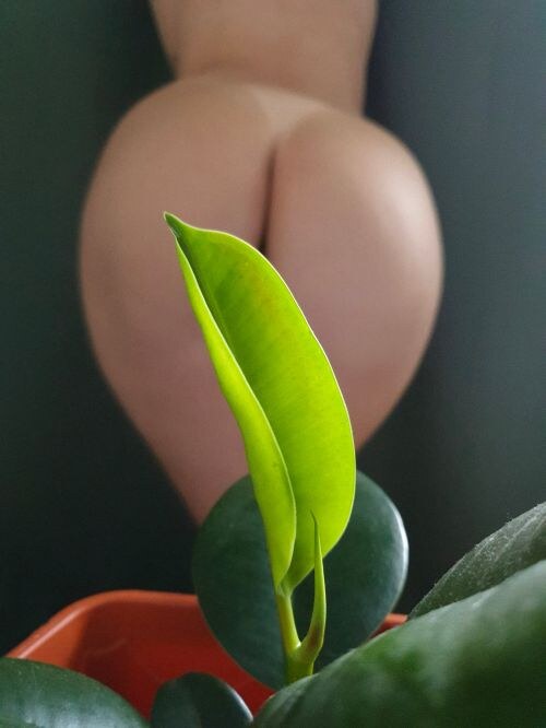 Raducu Mihaela Photo #84