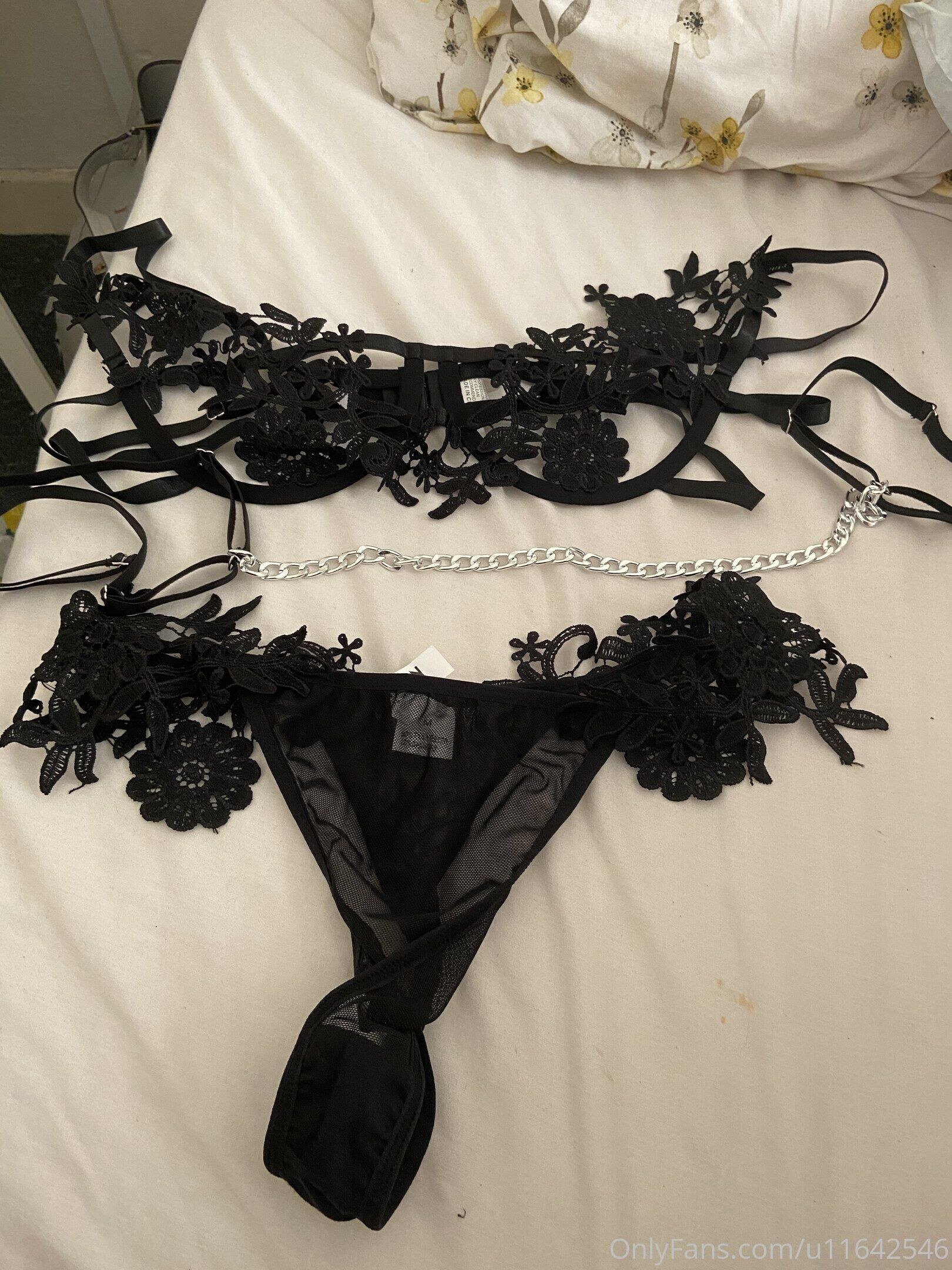 Creator Photo #59741