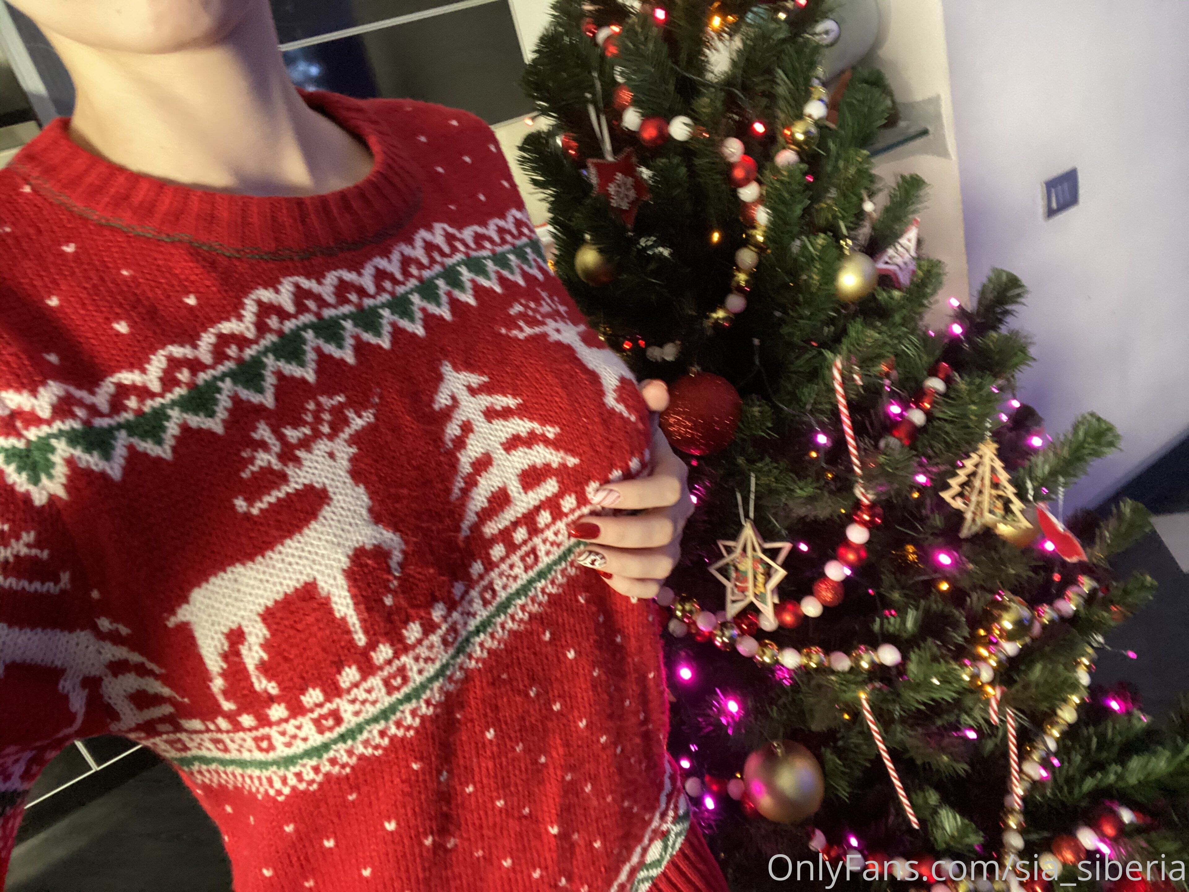 Sia Siberia Photo #478