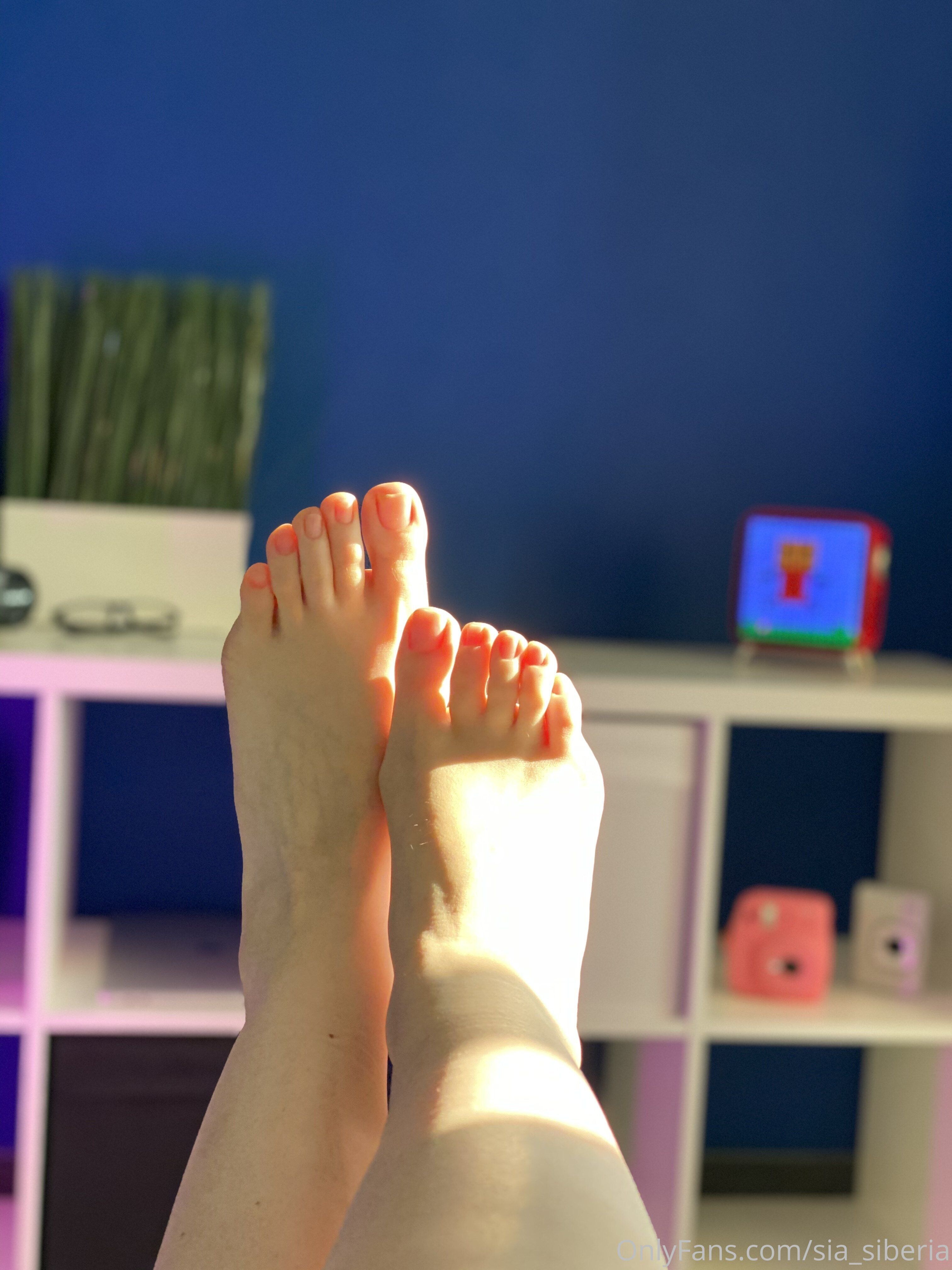 Sia Siberia Photo #570