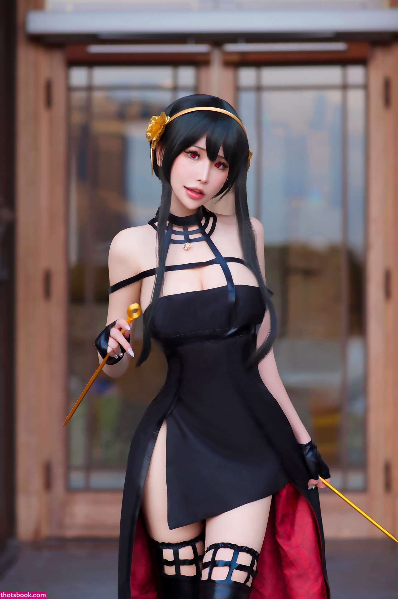 Plant Lily Photo #52