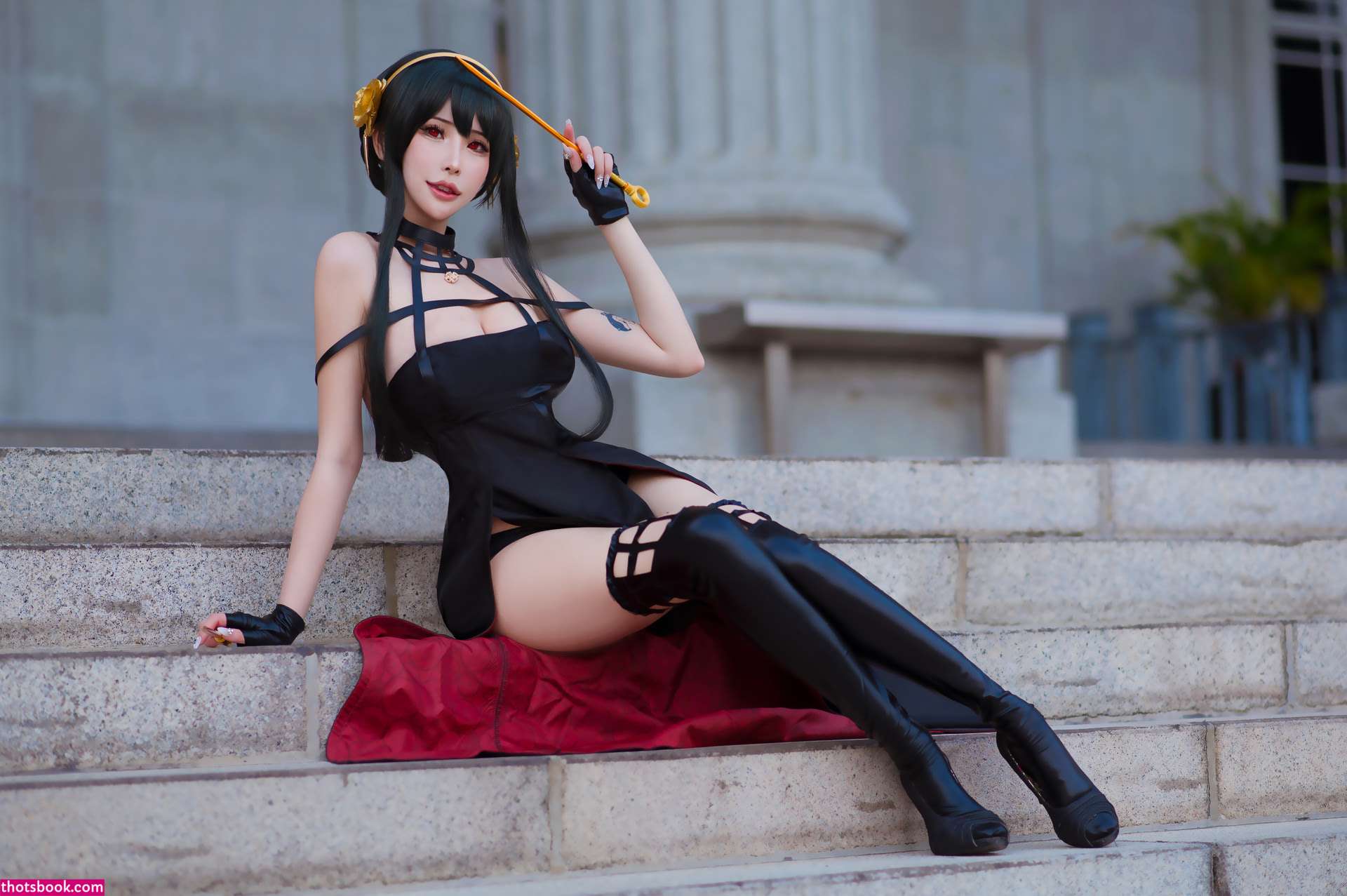 Plant Lily Photo #54