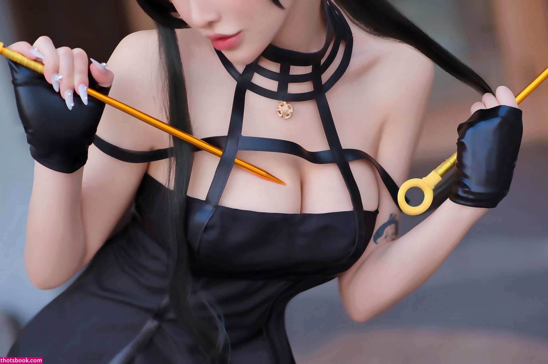 Plant Lily Photo #62