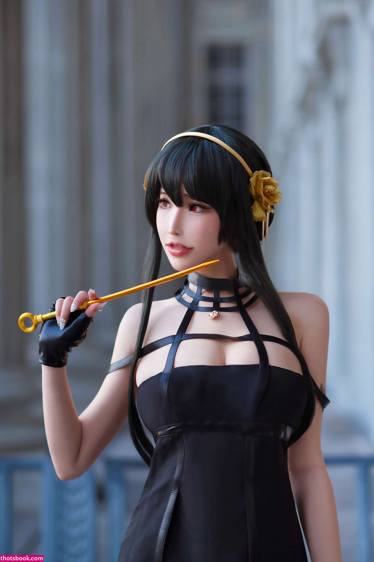 Plant Lily Photo #67