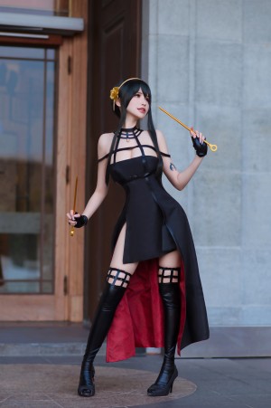 Plant Lily Photo #68