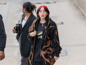 Billie Eilish Post #29