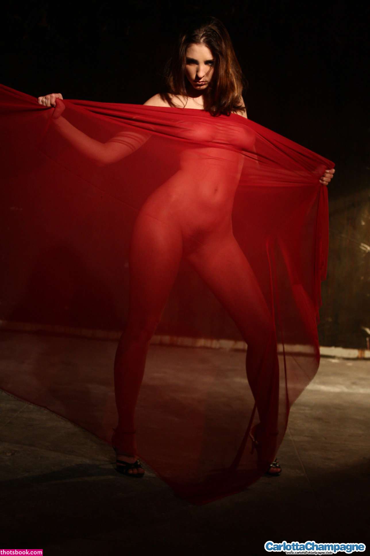 Carlotta Champagne Photo #116