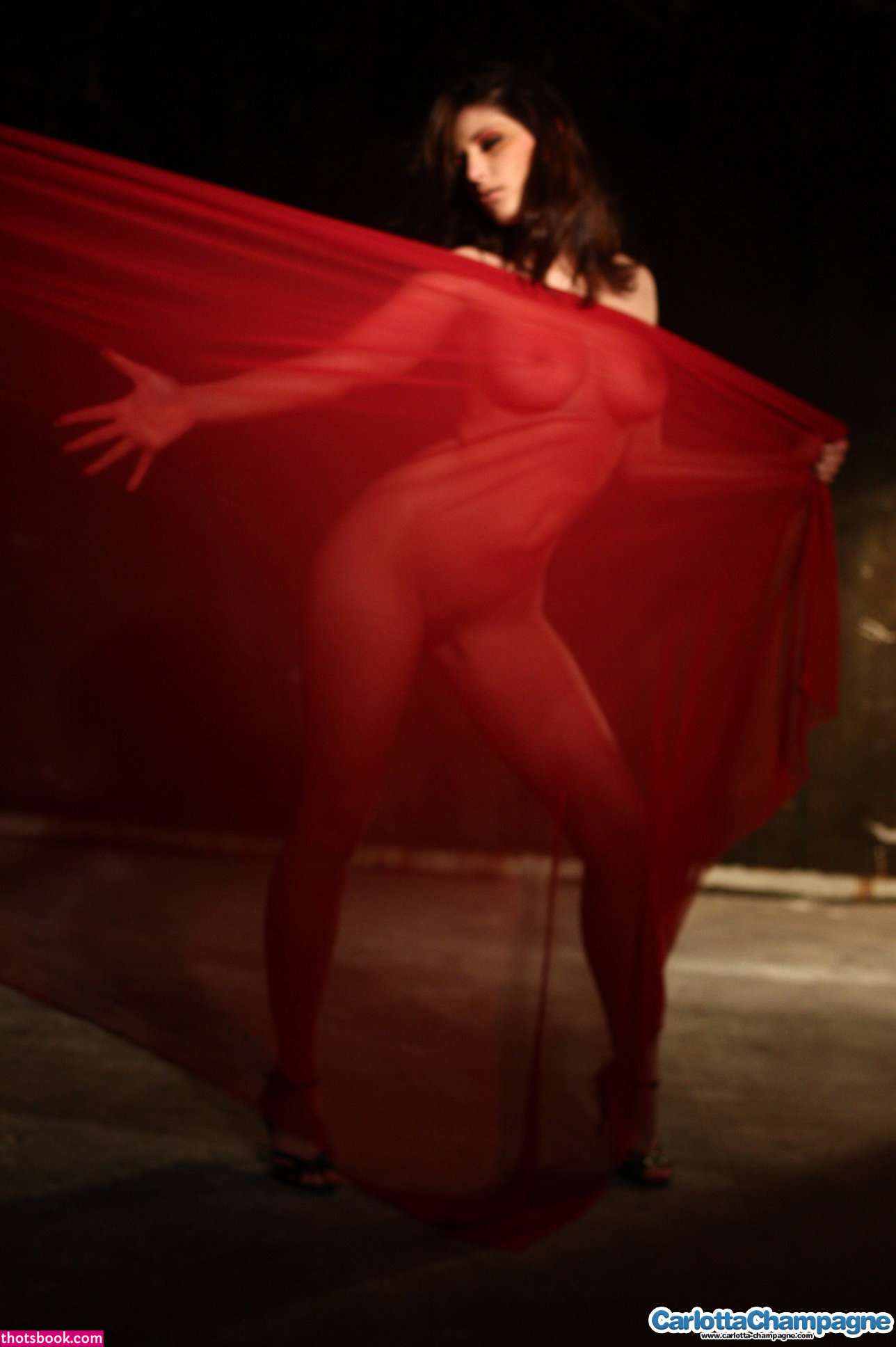 Carlotta Champagne Photo #141