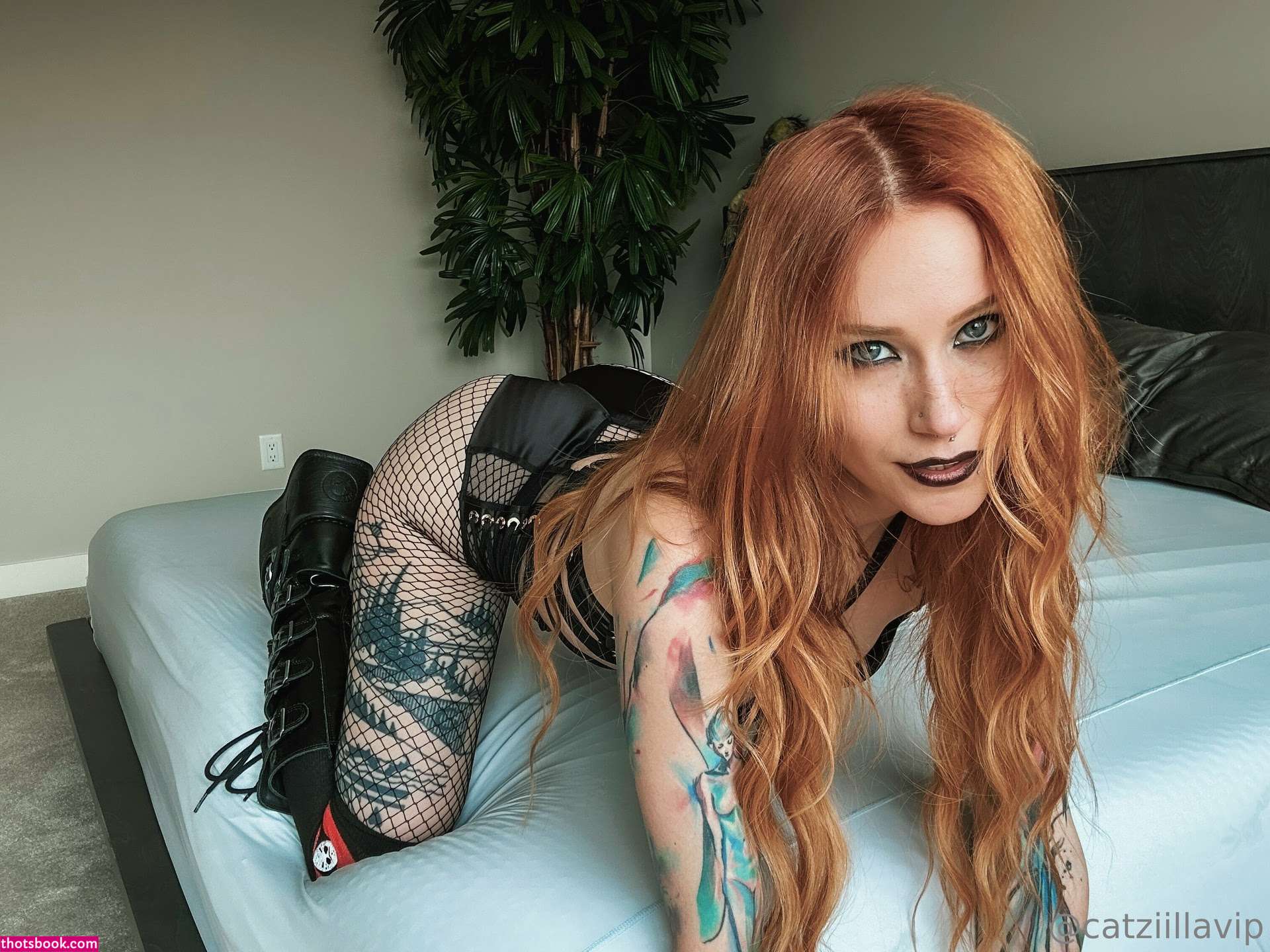 Catziilla Photo #151