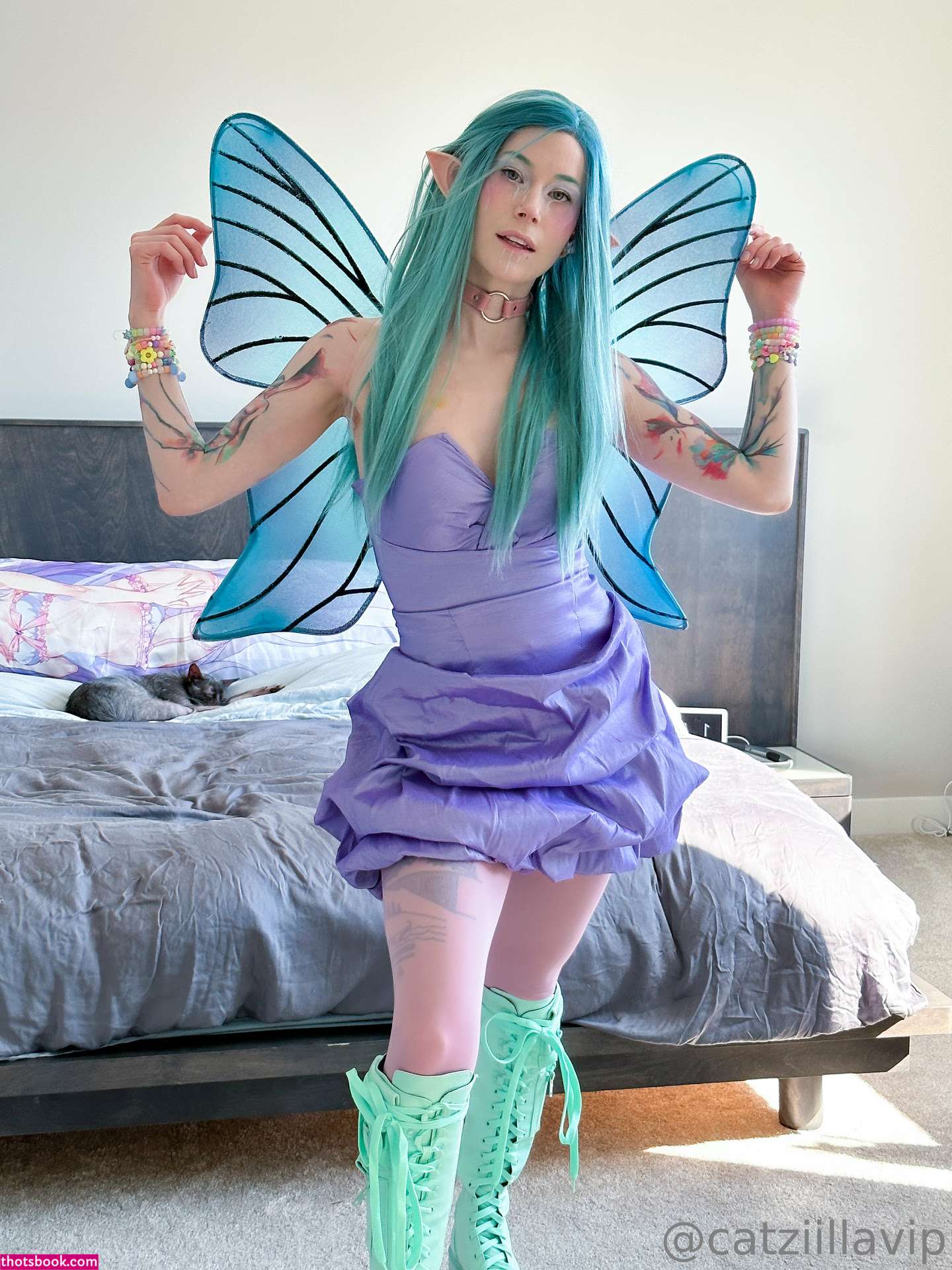 Catziilla Photo #244