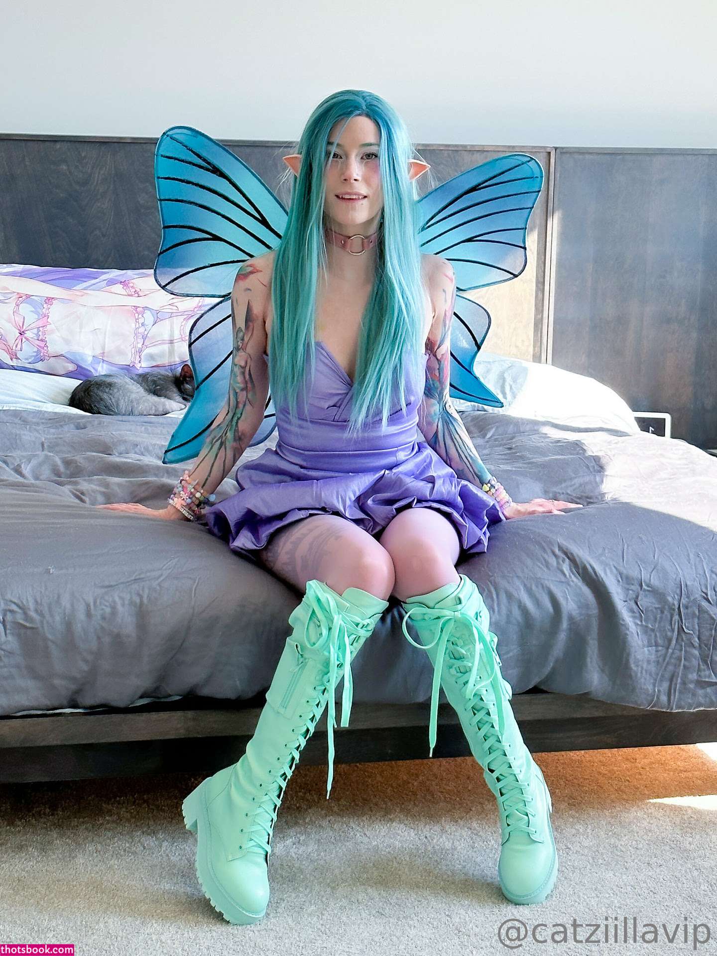 Catziilla Photo #245