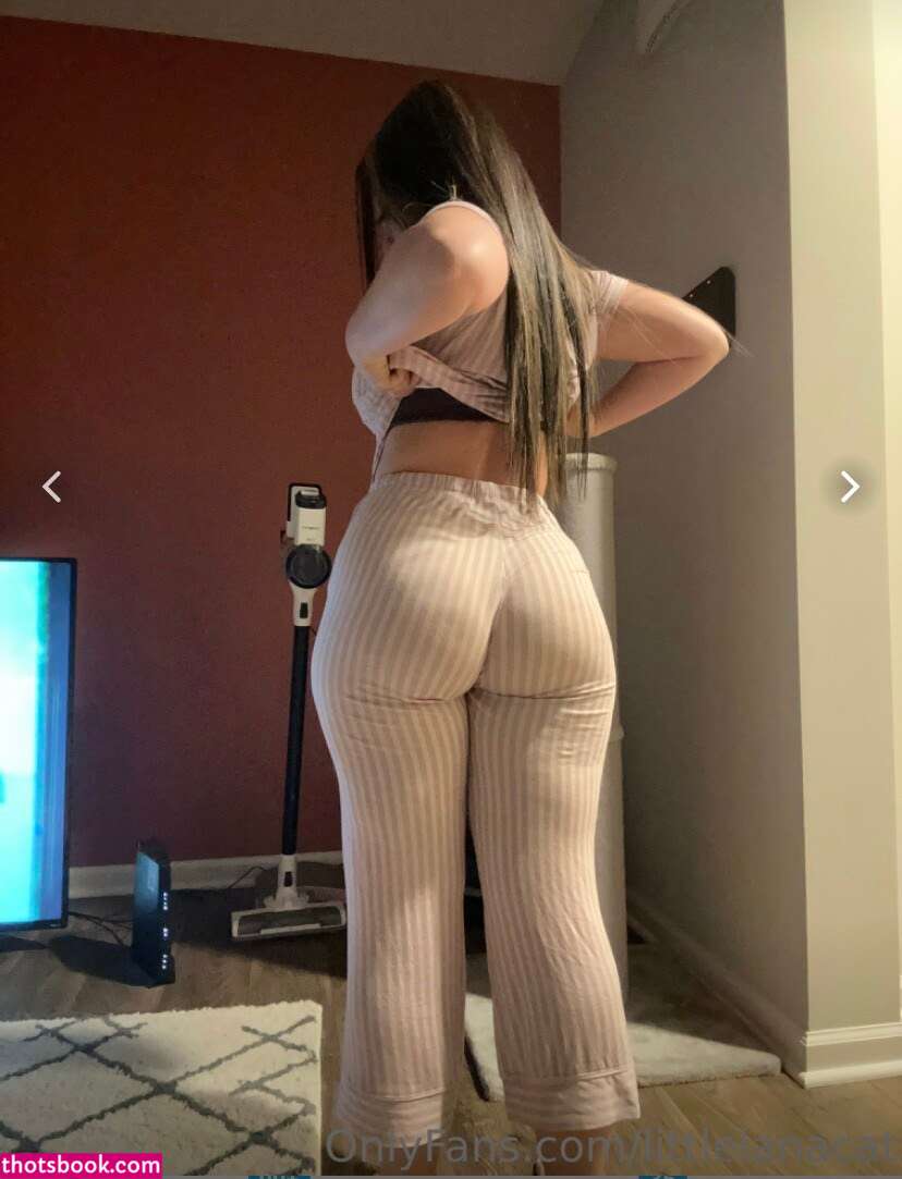 Littlelanacat Photo #41