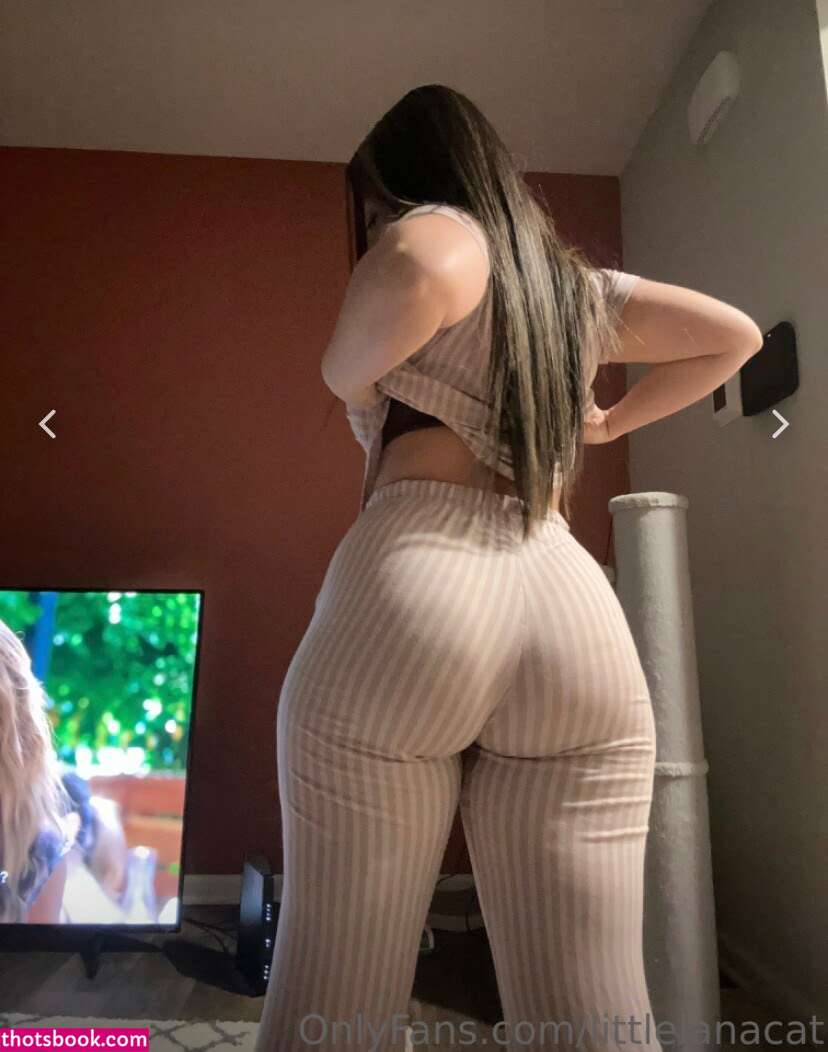 Littlelanacat Photo #43