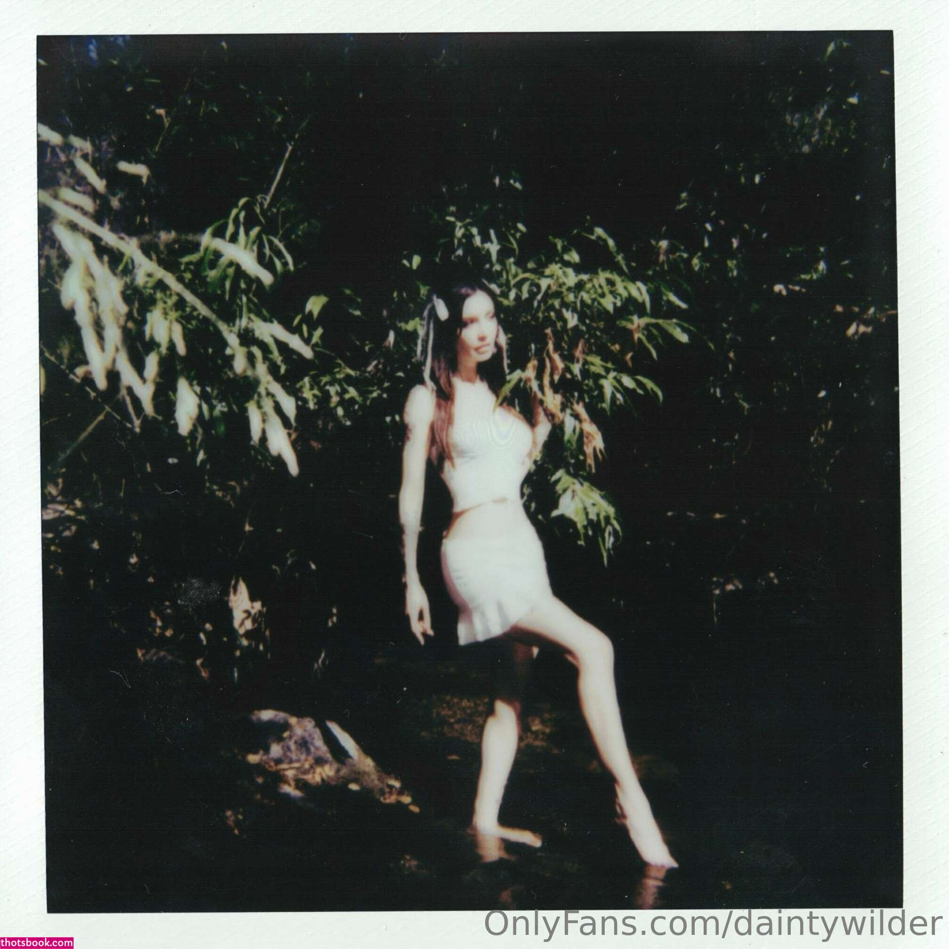 Dainty Wilder Photo #543