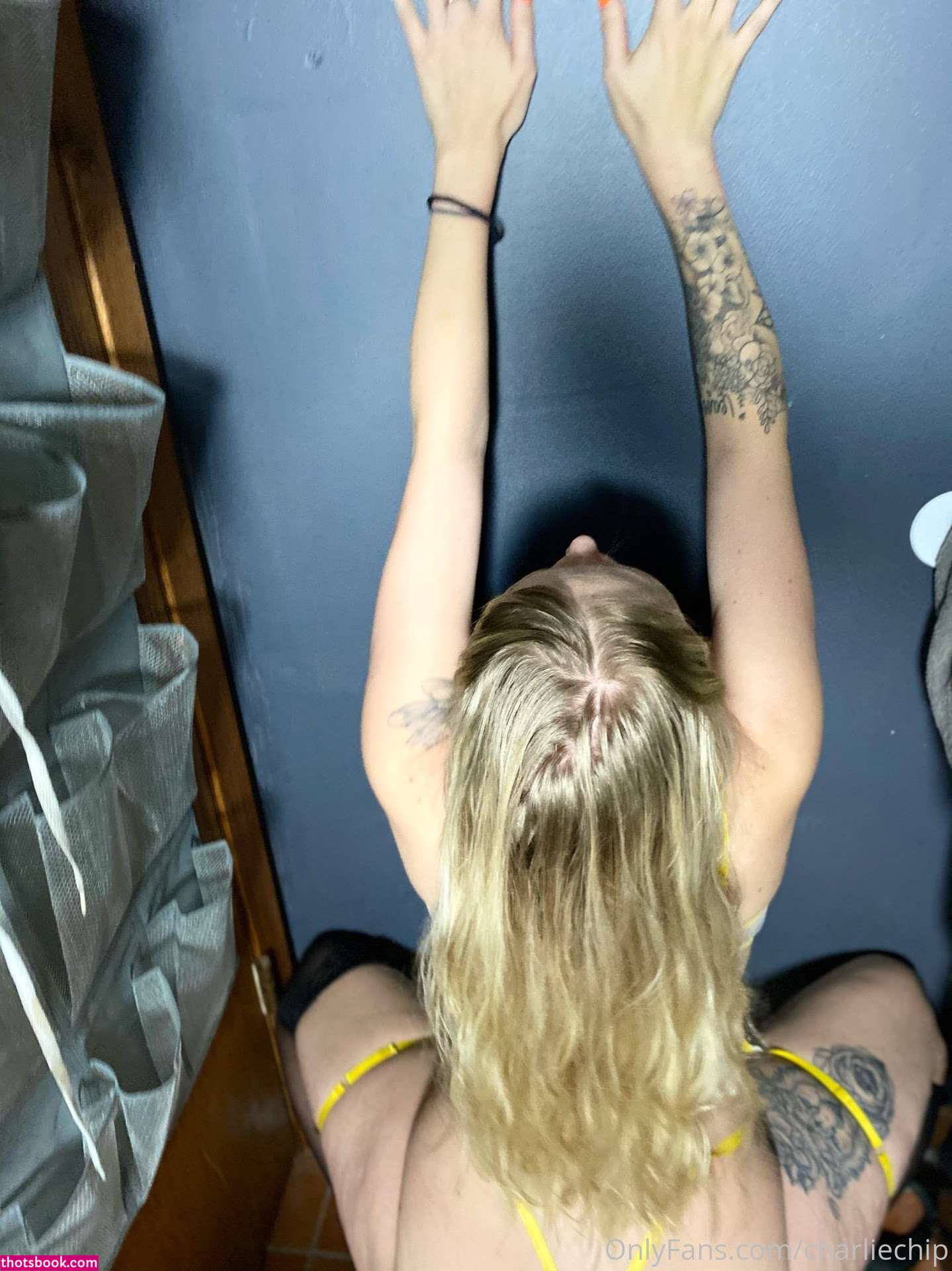 Charlie Chip Photo #78