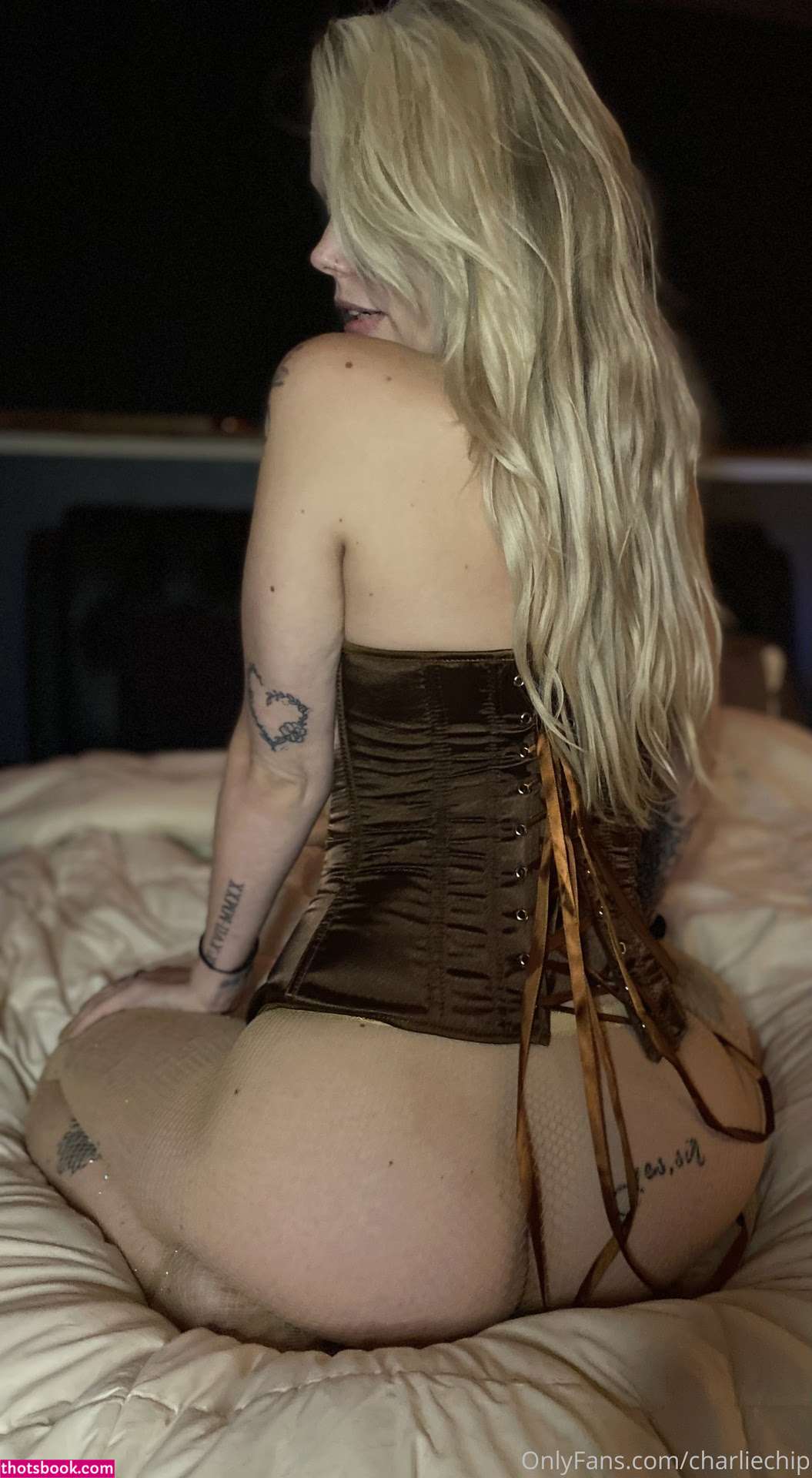 Charlie Chip Photo #104