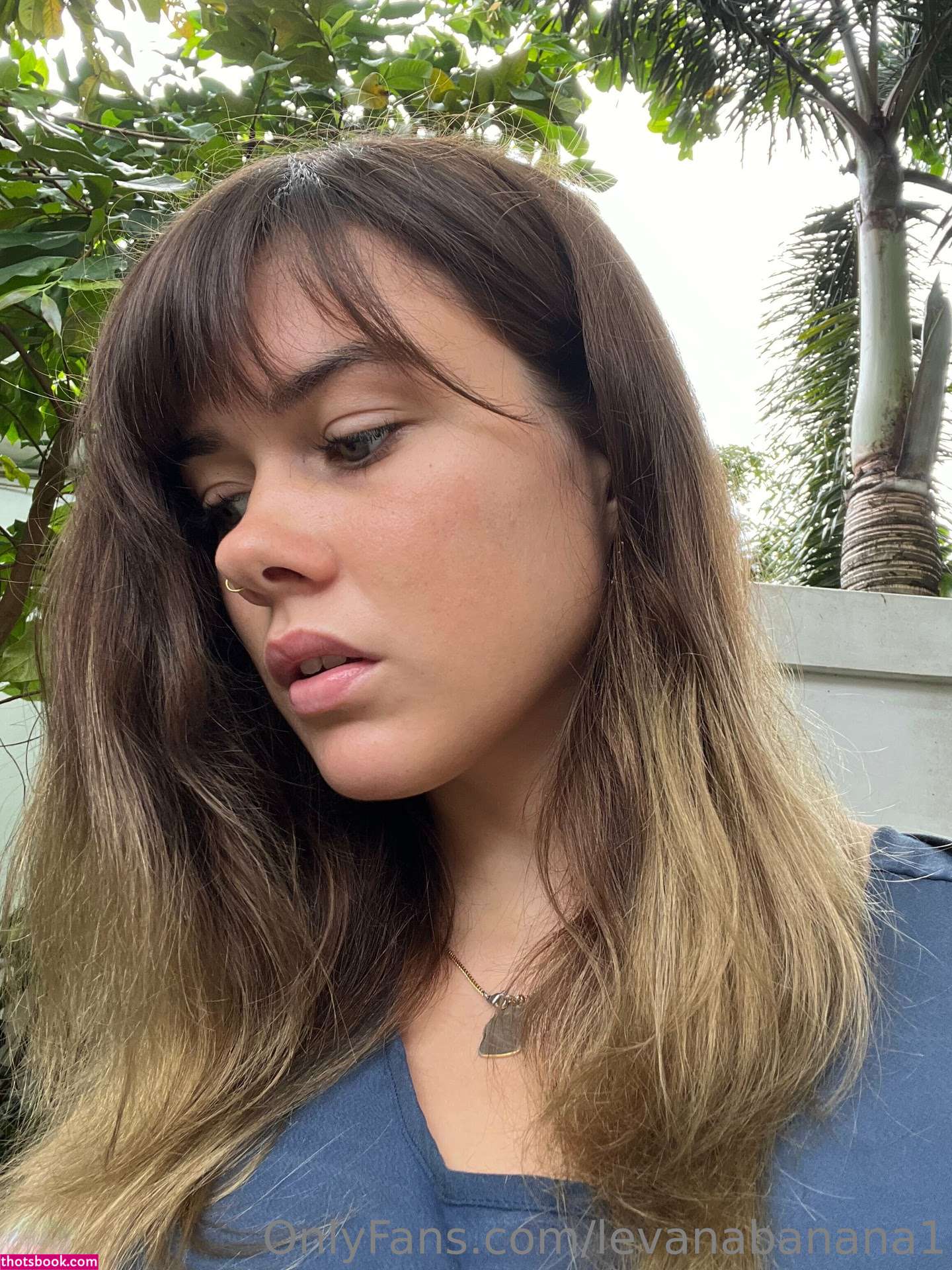 Levana Banana Photo #170