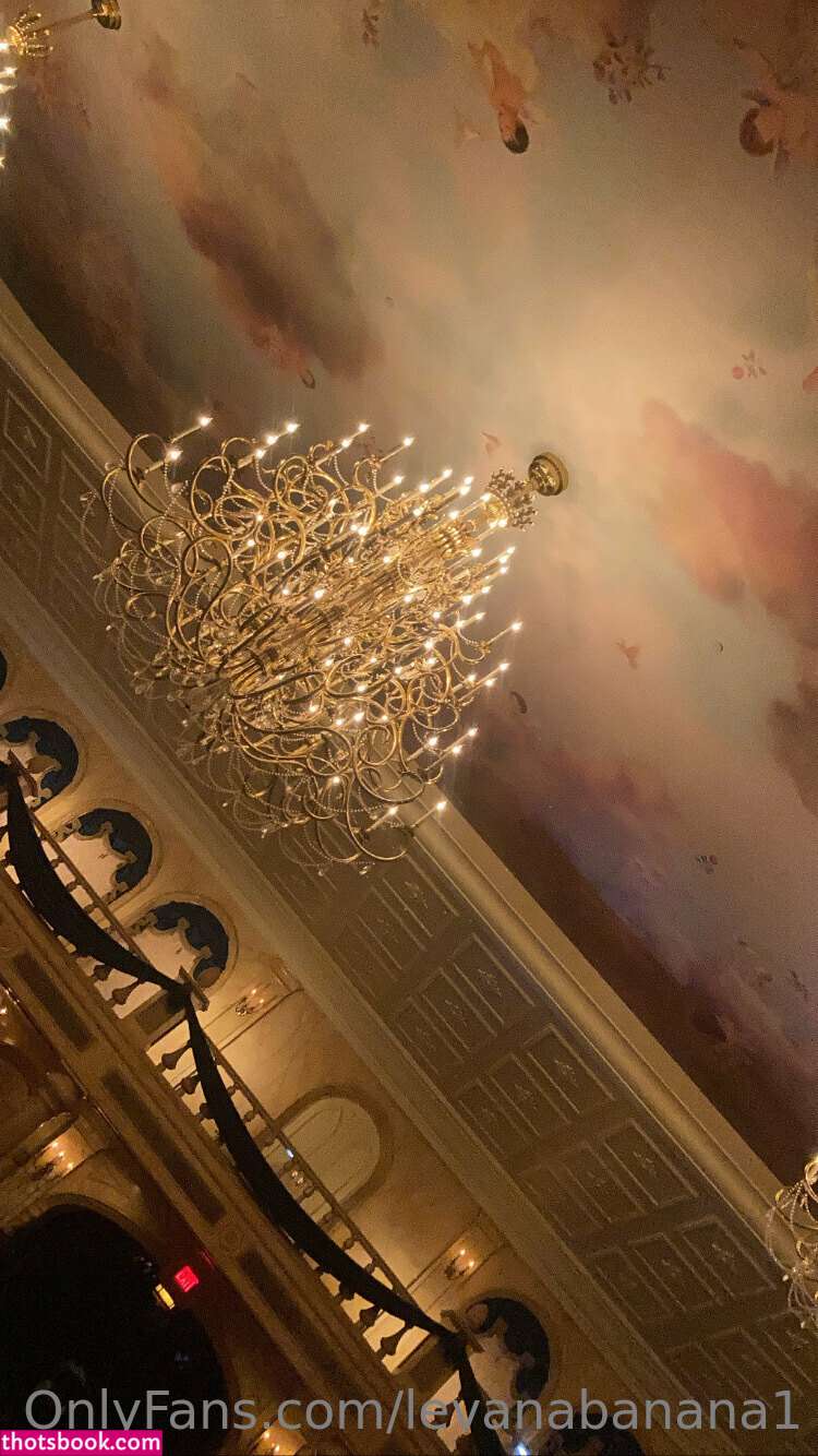 Levana Banana Photo #173