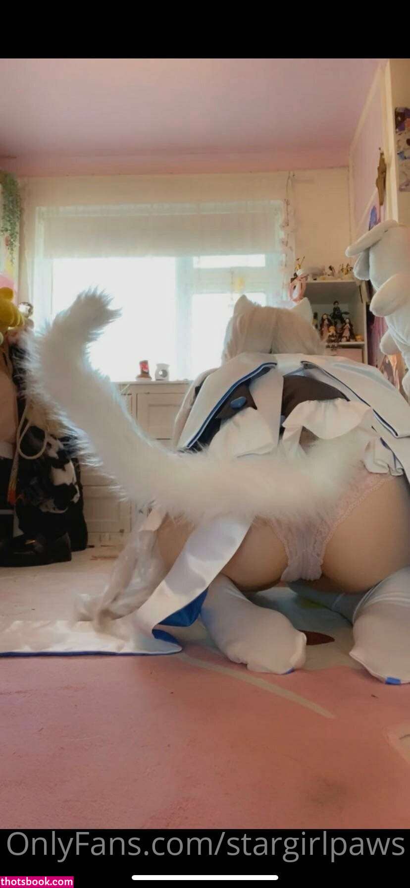 stargirlpaws Photo #87