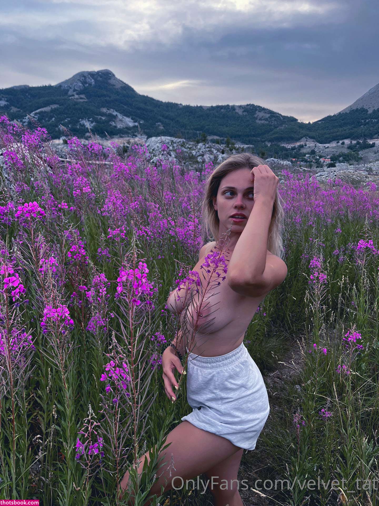 Velvet Tat Photo #16