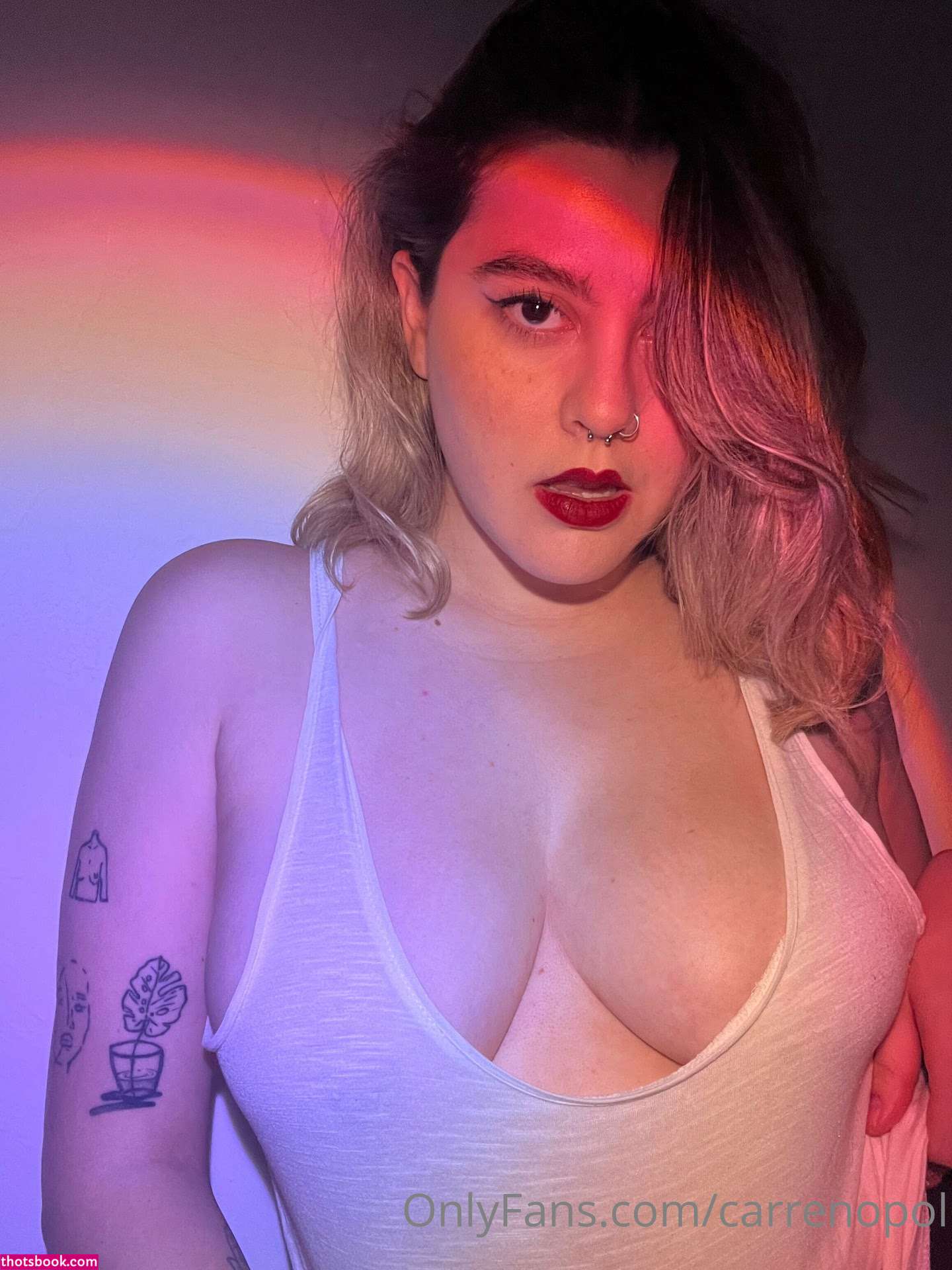 Carrenopol Photo #15