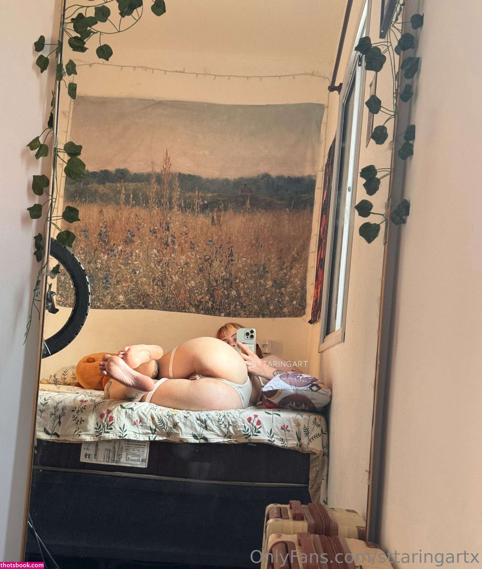 Sttaringart Photo #124