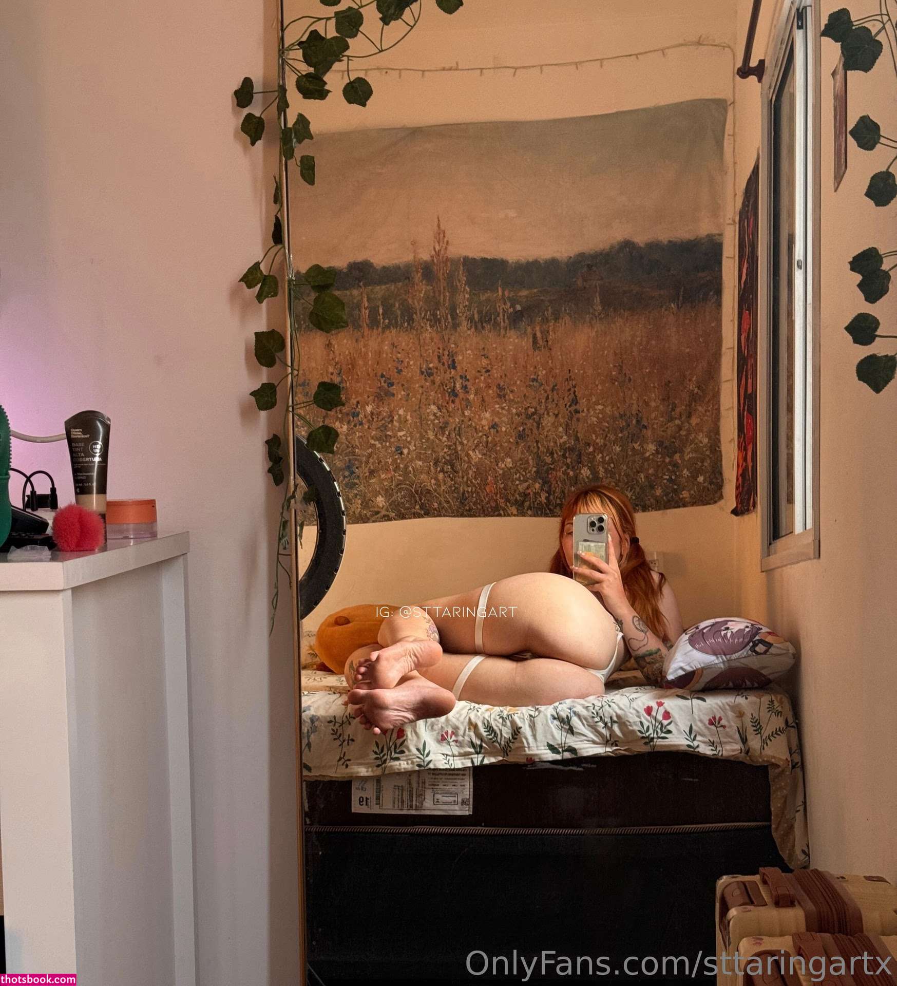 Sttaringart Photo #129