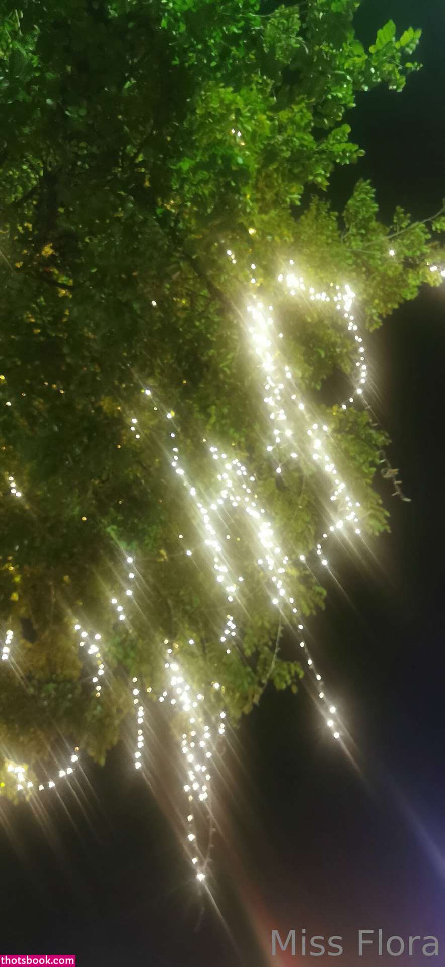 Miss Flora Femdom Photo #120