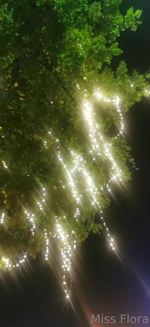 Miss Flora Femdom Photo #120